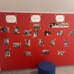 FOTO: Zdravotnická škola získala nové prostory. Studenti se učí v moderních učebnách