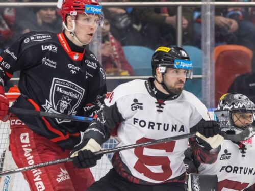 Hokejisté Hradce přišli o pětizápasovou vítěznou šňůru, se Spartou prohráli 1:4