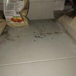 FOTO: Trus přímo na pečivu a koláčích. Inspekce uzavřela potraviny v Bezručově ulici