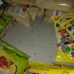 FOTO: Trus přímo na pečivu a koláčích. Inspekce uzavřela potraviny v Bezručově ulici