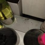 FOTO: Trus přímo na pečivu a koláčích. Inspekce uzavřela potraviny v Bezručově ulici