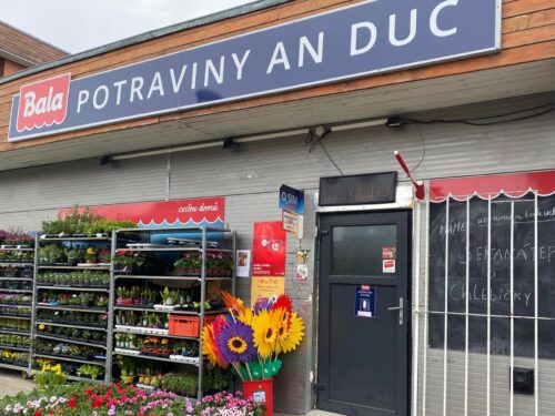 FOTO: Trus přímo na pečivu a koláčích. Inspekce uzavřela potraviny v Bezručově ulici