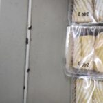 FOTO: Trus přímo na pečivu a koláčích. Inspekce uzavřela potraviny v Bezručově ulici