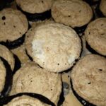 FOTO: Trus přímo na pečivu a koláčích. Inspekce uzavřela potraviny v Bezručově ulici