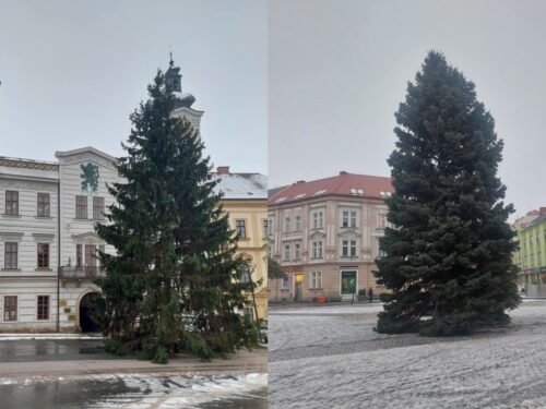 OBRAZEM: V centru Hradce už stojí oba vánoční stromy. Jak se vám líbí?
