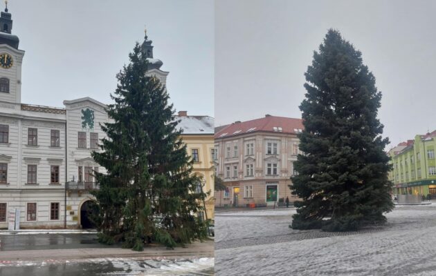 OBRAZEM: V centru Hradce už stojí oba vánoční stromy. Jak se vám líbí?