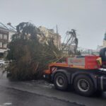 OBRAZEM: V centru Hradce už stojí oba vánoční stromy. Jak se vám líbí?