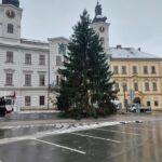 OBRAZEM: V centru Hradce už stojí oba vánoční stromy. Jak se vám líbí?
