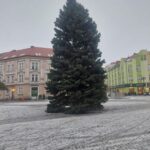 OBRAZEM: V centru Hradce už stojí oba vánoční stromy. Jak se vám líbí?