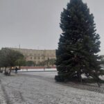 OBRAZEM: V centru Hradce už stojí oba vánoční stromy. Jak se vám líbí?