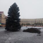 OBRAZEM: V centru Hradce už stojí oba vánoční stromy. Jak se vám líbí?