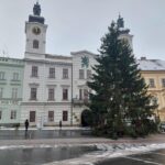 OBRAZEM: V centru Hradce už stojí oba vánoční stromy. Jak se vám líbí?