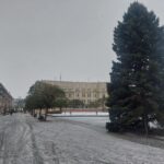 OBRAZEM: V centru Hradce už stojí oba vánoční stromy. Jak se vám líbí?