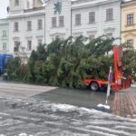 OBRAZEM: V centru Hradce už stojí oba vánoční stromy. Jak se vám líbí?