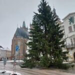 OBRAZEM: V centru Hradce už stojí oba vánoční stromy. Jak se vám líbí?