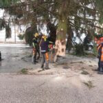 OBRAZEM: V centru Hradce už stojí oba vánoční stromy. Jak se vám líbí?