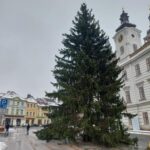 OBRAZEM: V centru Hradce už stojí oba vánoční stromy. Jak se vám líbí?