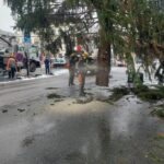 OBRAZEM: V centru Hradce už stojí oba vánoční stromy. Jak se vám líbí?