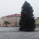 OBRAZEM: V centru Hradce už stojí oba vánoční stromy. Jak se vám líbí?