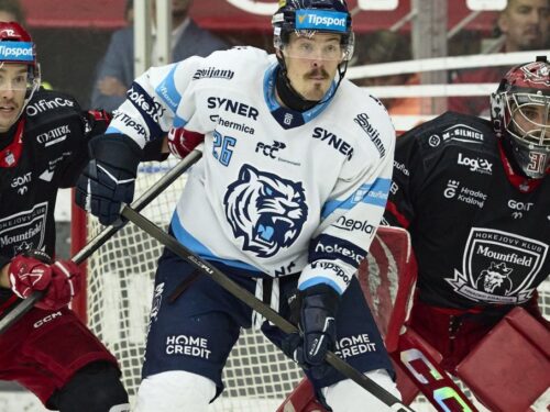 Hradečtí hokejisté nestačili na Liberec a padli podruhé v řadě. Na severu Čech prohráli 2:3