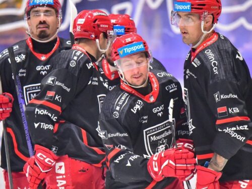 Hradečtí hokejisté vyhráli potřetí v řadě, výhru v Litvínově řídil Jergl