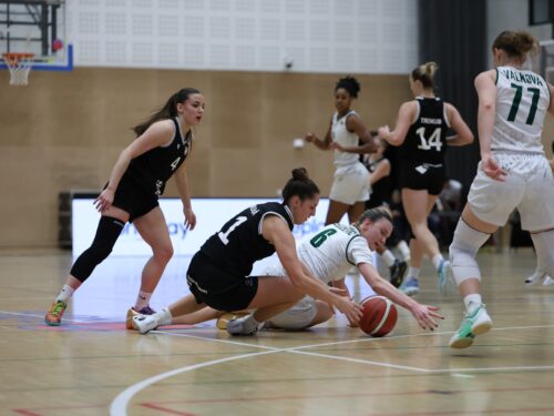 Bojovný výkon na výhru nestačil, Lvice padly v Ostravě 62:71