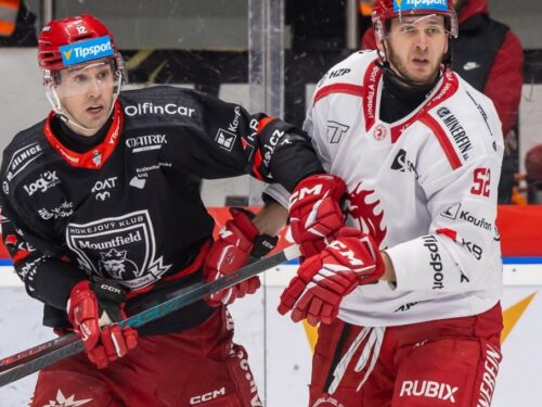 V souboji týmů s nejlepší formou uspěl Hradec, Oceláře doma porazil 4:1