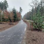 Hradec otevřel cyklostezku k lesnímu hřbitovu, za stavbu mu ale hrozí pokuta