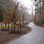 Hradec otevřel cyklostezku k lesnímu hřbitovu, za stavbu mu ale hrozí pokuta