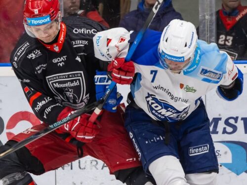 Předvánoční utkání rozhodl v závěru Radil, Hradec doma udolal Kometu 2:1