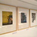 Výstava Krásná neznámá představuje díla mistra litografie Vladimíra Suchánka