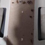 OBRAZEM: Švábi nejen za pultem. Inspekce uzavřela asijské občerstvení v Atriu