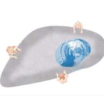 ANKETA: Kašna pro Velké náměstí. Který návrh byste vybrali vy?