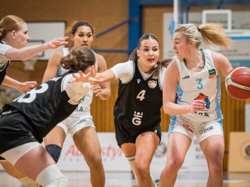 Vítězná série je u konce. Lvice po deseti letech podlehly Trutnovu