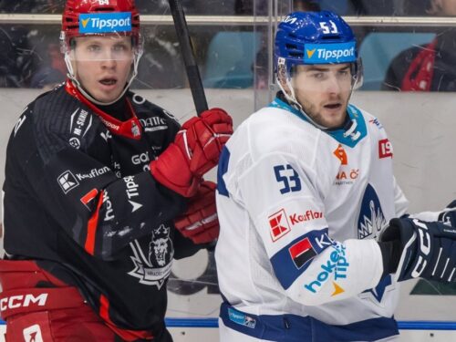 Hradec doma porazil Kladno 1:0, v přesilovce rozhodl Miškář