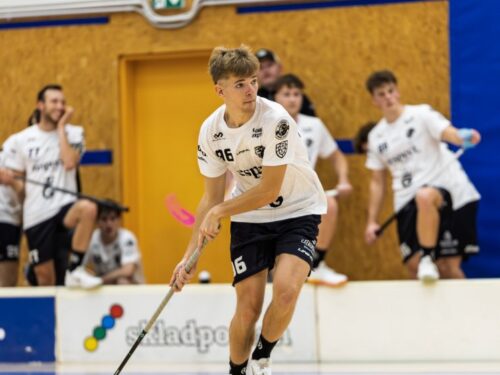 Důležité body zůstaly doma. Hradec přetlačil Gullivers 6:4, hattrickem zazářil Velc