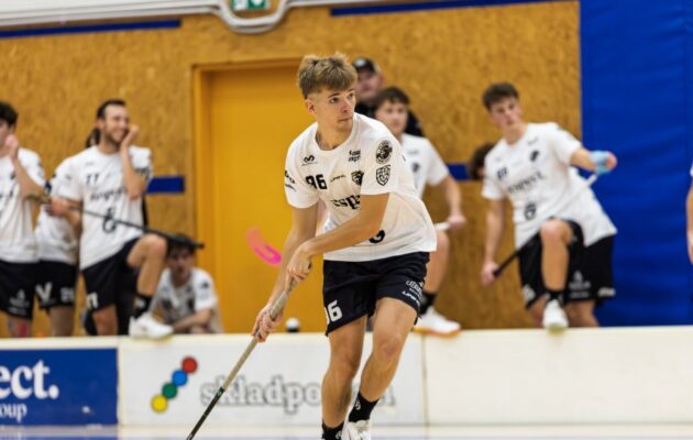 Důležité body zůstaly doma. Hradec přetlačil Gullivers 6:4, hattrickem zazářil Velc