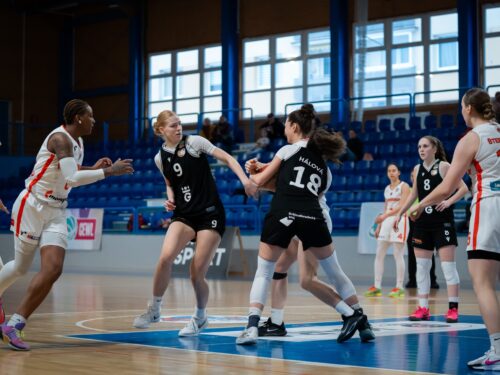 Lvice postupují do Final 4 CEWL. Ze skupiny jdou z druhého místa