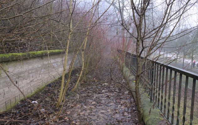 Severní terasy v centru Hradce zarůstají. Město tam posílá zahradníky a čeká na posudek