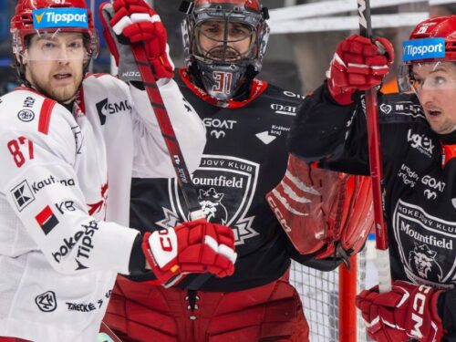 Hradec zabral v pravý čas. V Třinci po výhře 3:2 urval první bod série
