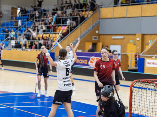 Do Hradce míří špička dorosteneckého florbalu. Lvice doma zabojují o titul