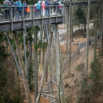 V Krkonoších otevřela Medvědí stezka, nabízí pohled do medvědího výběhu