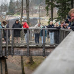 V Krkonoších otevřela Medvědí stezka, nabízí pohled do medvědího výběhu