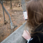 V Krkonoších otevřela Medvědí stezka, nabízí pohled do medvědího výběhu