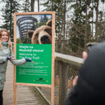V Krkonoších otevřela Medvědí stezka, nabízí pohled do medvědího výběhu