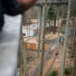 V Krkonoších otevřela Medvědí stezka, nabízí pohled do medvědího výběhu