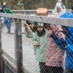 V Krkonoších otevřela Medvědí stezka, nabízí pohled do medvědího výběhu
