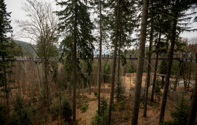 Slavnostní otevření Medvědí stezky v Janských Lázních