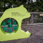 V Krkonoších otevřela Medvědí stezka, nabízí pohled do medvědího výběhu