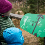 V Krkonoších otevřela Medvědí stezka, nabízí pohled do medvědího výběhu